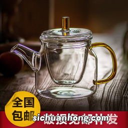 用什么茶壶煮茶好