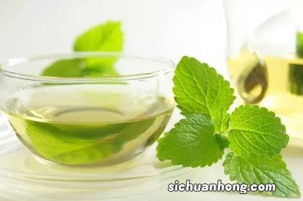 薄荷泡茶怎么泡呀