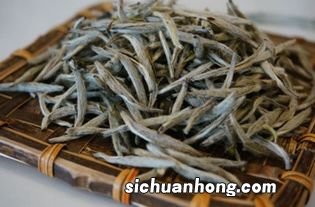 不属于白茶的是什么