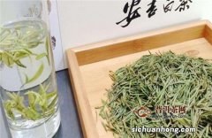 不属于白茶的是什么