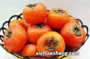 吃柿子不能和什么东西是什么意思啊