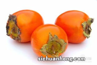 吃柿子不能和什么东西是什么意思