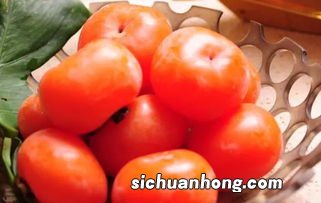 吃柿子不能和什么东西是什么意思