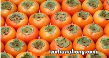 吃柿子不能和什么东西是什么