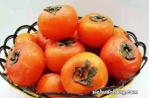 吃柿子不能和什么东西是什么
