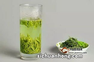 最养生绿茶是什么茶