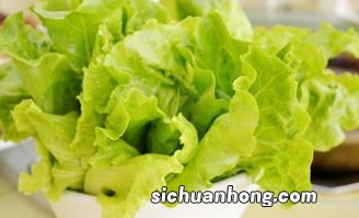 青菜放冰箱多久