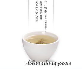 雪茶是什么做的