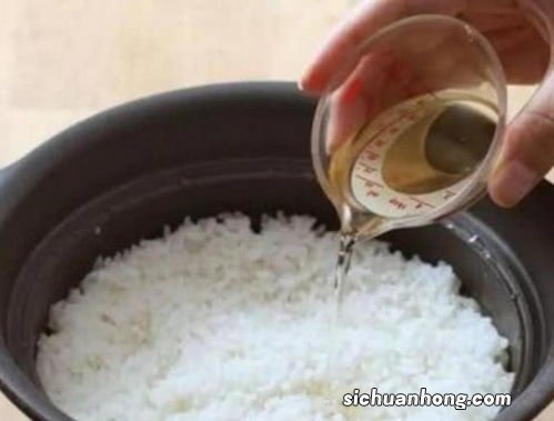 吃什么粉丝不会发胖