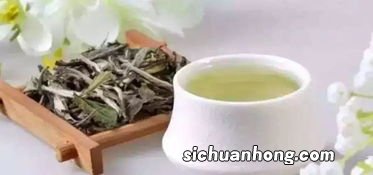 夏季为什么适合喝白茶