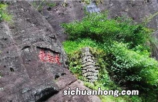 武夷山大红袍为什么贵