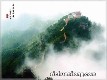 武当山有什么茶叶