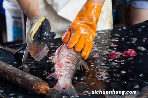 鱼死了没杀多久不能吃
