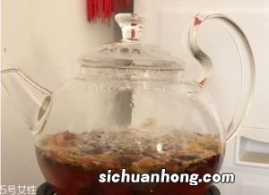 什么煮茶器好