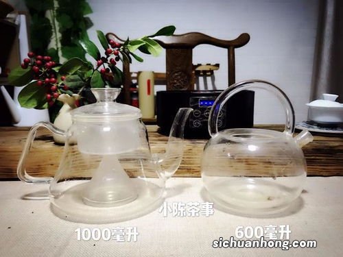 什么煮茶器好