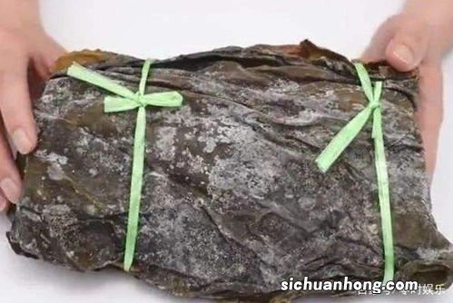 海带需要泡多久能吃