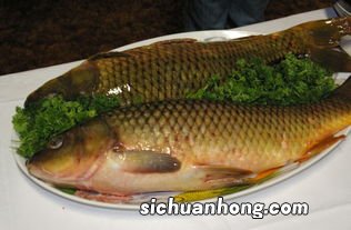 吃鲤鱼和什么搭配好