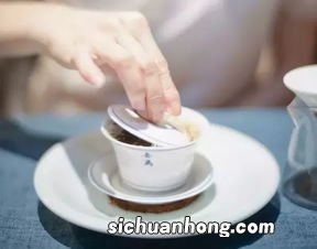 什么茶都可以啜茶