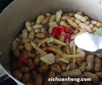 带壳花生需要煮多久