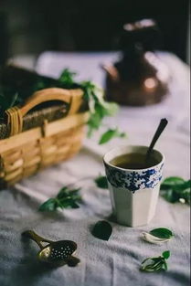 什么茶 适合冷泡