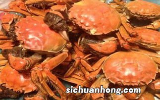 吃河蟹和什么一起吃吗