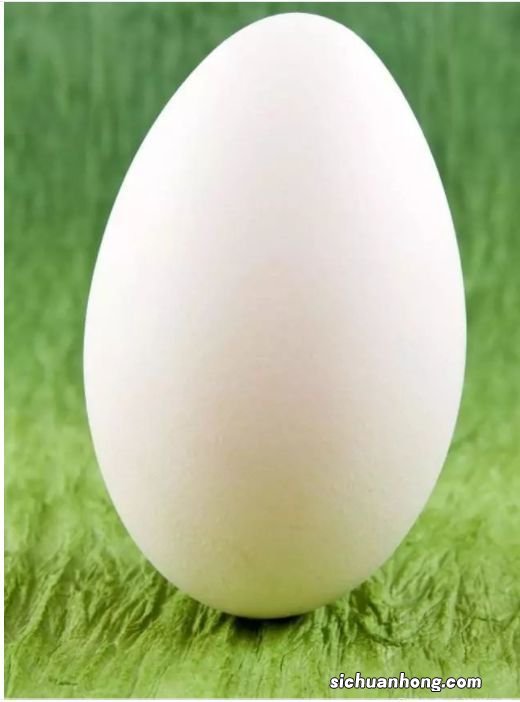 吃鹅蛋不能和什么一起吃