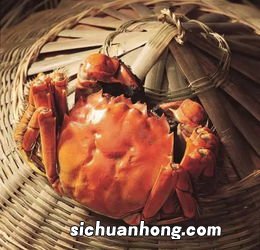 吃大闸蟹忌吃什么
