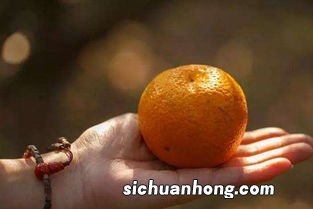 泡柑有什么功效与作用