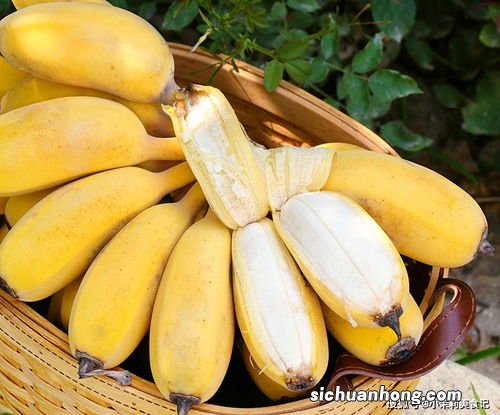 吃大蕉有什么好
