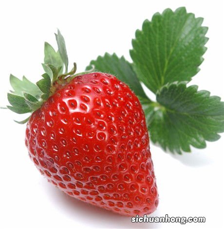 吃草莓不能和什么一起吃