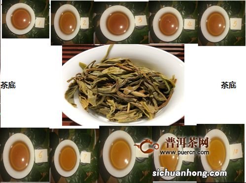 老乌山古树茶是什么茶