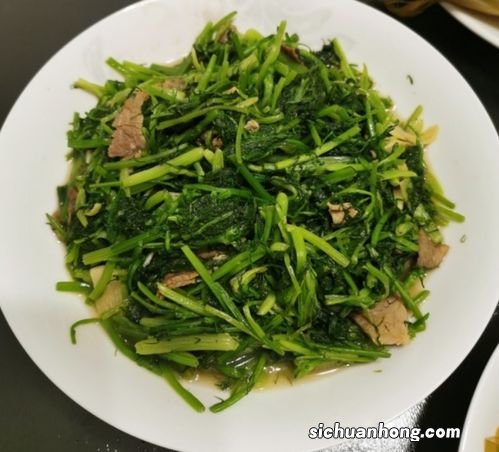 炒菜时 什么时候放茴香