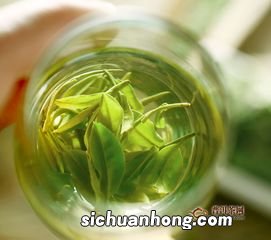 喝竹叶青茶有什么坏处