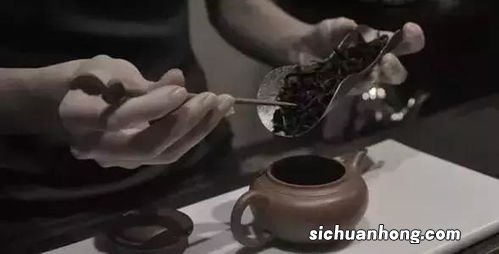 阴茶什么意思是什么意思