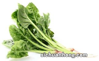 菠菜能和什么菜一起吃吗