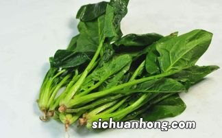 菠菜和什么菜能一起吃吗