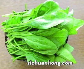 菠菜跟什么不能一起吃吗