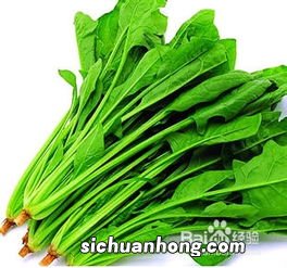 菠菜跟什么不能一起吃吗