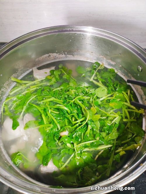 西洋菜汤西洋菜煮多久