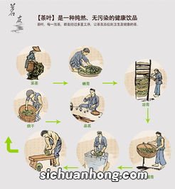 什么是凤凰单纵