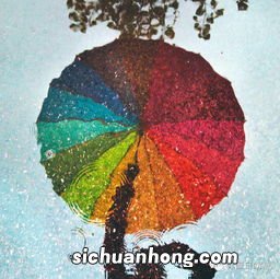 什么是凤凰单纵