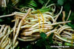 为什么有人不吃鱼腥草，怎么挑选鱼腥草