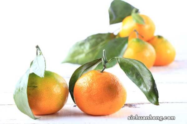 橘子里面的白色东西能吃吗，里面白色的东西叫什么