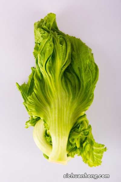 生菜的功效、作用与禁忌