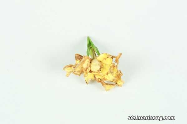 栀子花的介绍，栀子花的花语