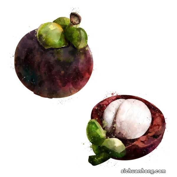 孕妇能吃山竹吗,吃山竹有什么好处