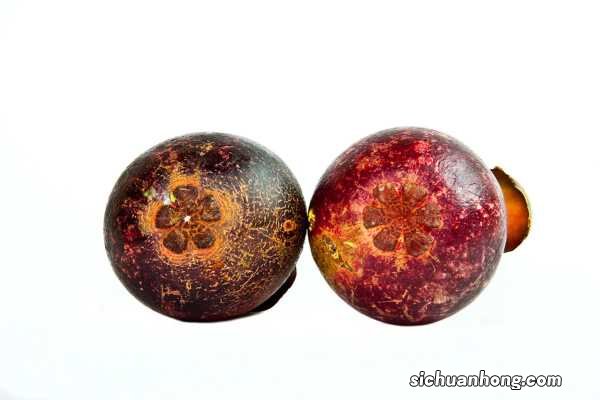 山竹的功效与作用,孕妇可以吃山竹吗