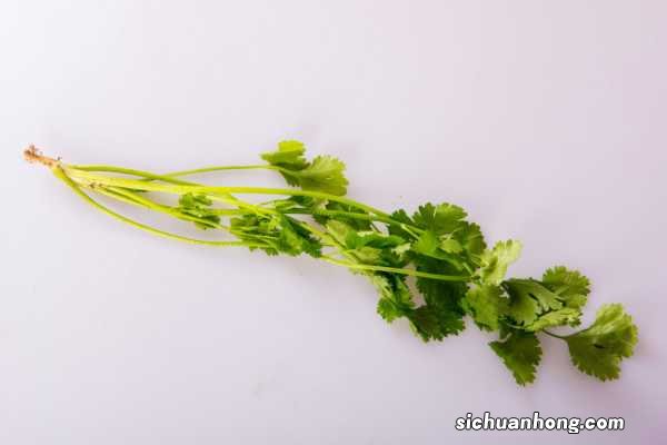 香菜不能和什么一起吃，香菜的功效