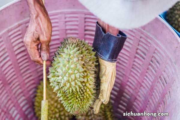 榴莲能放多久，榴莲图片