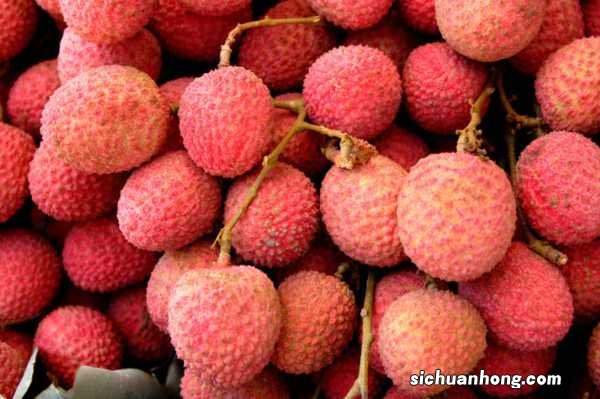 荔枝的功效与作用,荔枝图片